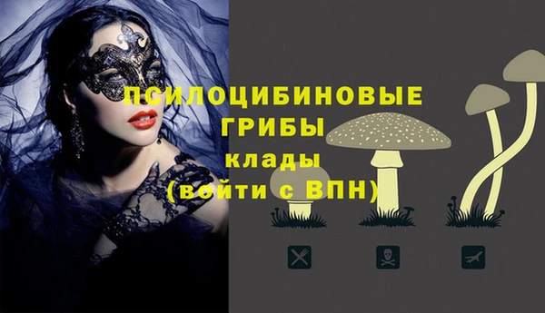 a pvp Алексин